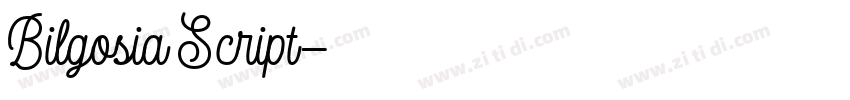 Bilgosia Script字体转换